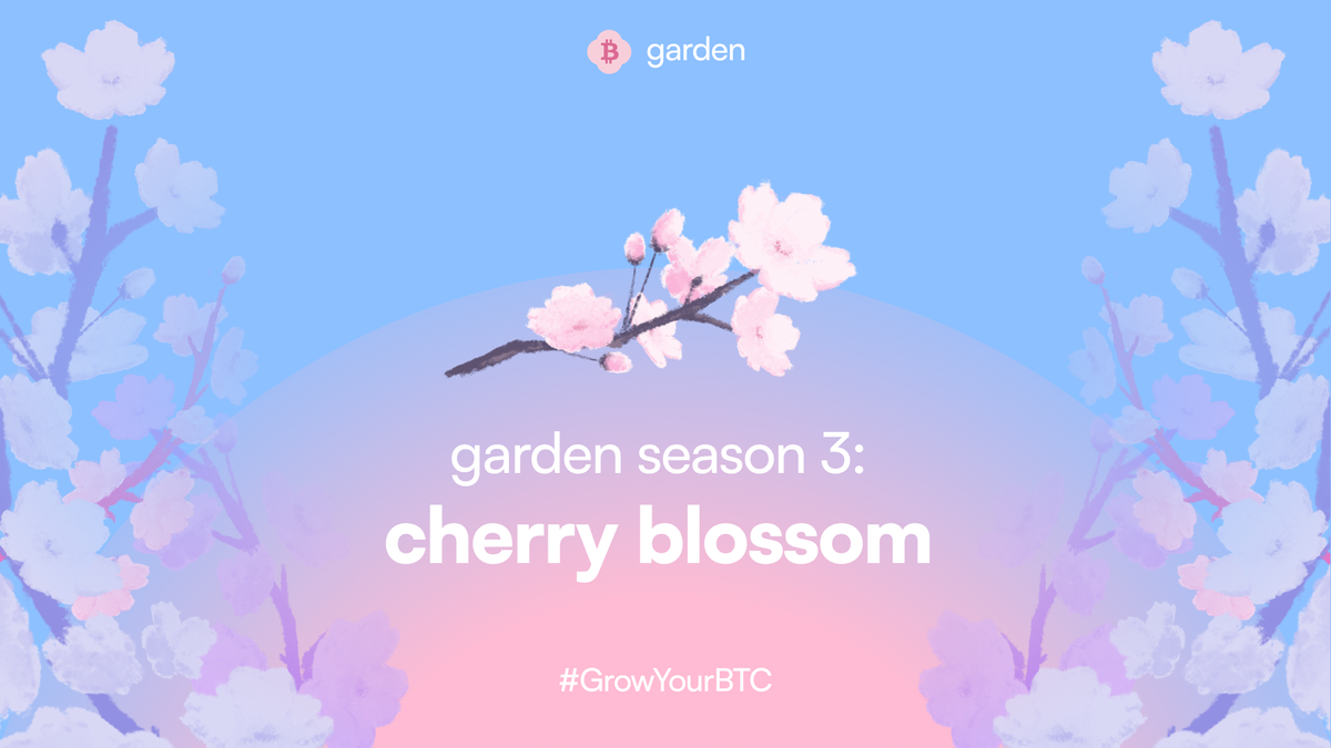 garden season 3: cherry blossom 🌸