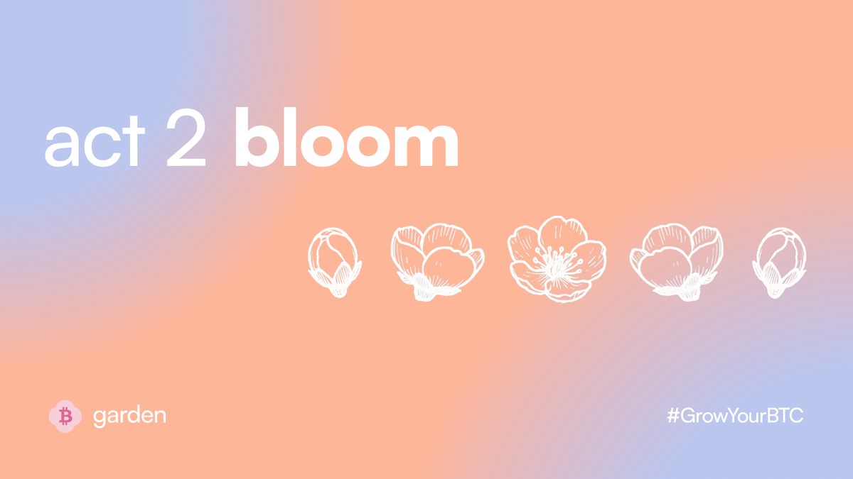 introducing act 2: bloom