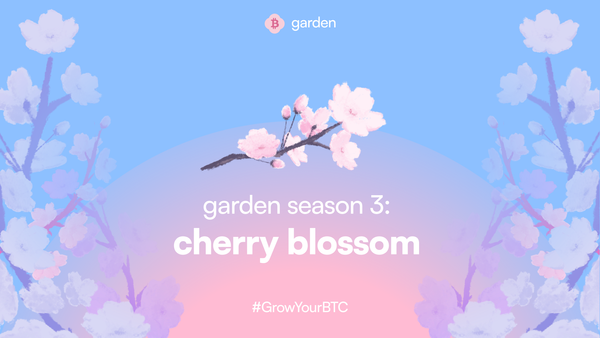 garden season 3: cherry blossom 🌸